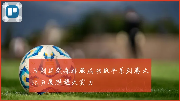 马刺逆袭森林狼成功扳平系列赛大比分展现强大实力