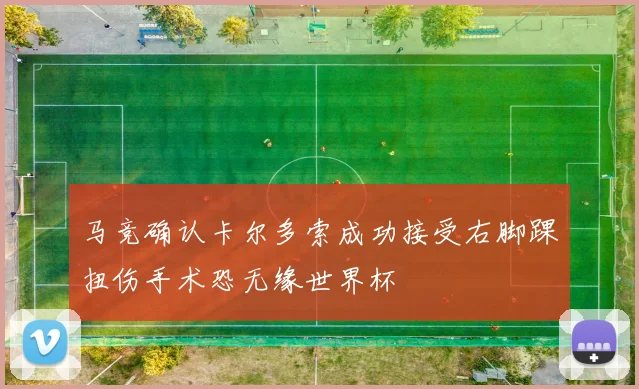 马竞确认卡尔多索成功接受右脚踝扭伤手术恐无缘世界杯